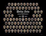 Delta Zeta Composite